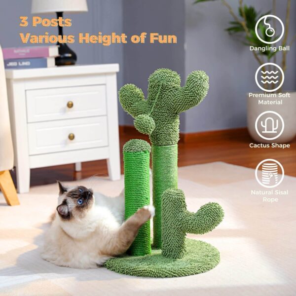 Cat Scratching Cactus - Image 2