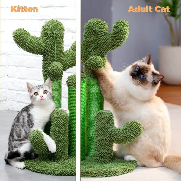 Cat Scratching Cactus - Image 5