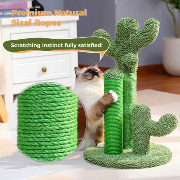 Cat Scratching Cactus - Image 3