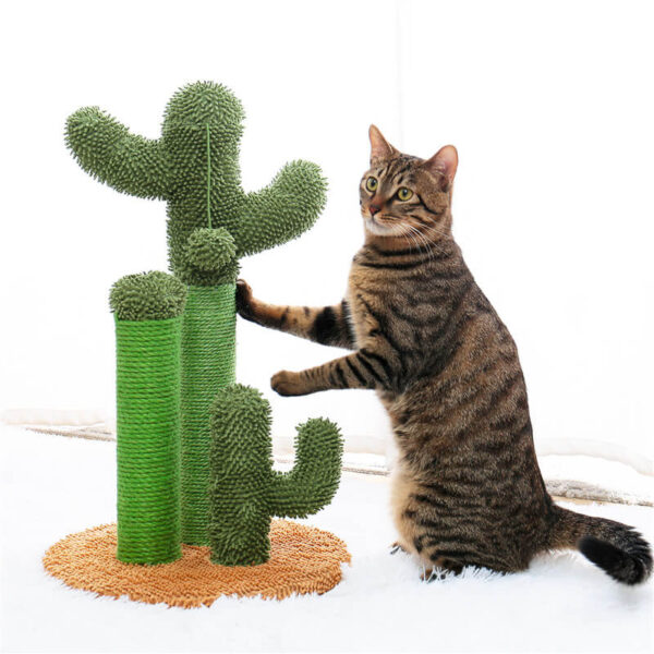 Cat Scratching Cactus - Image 6